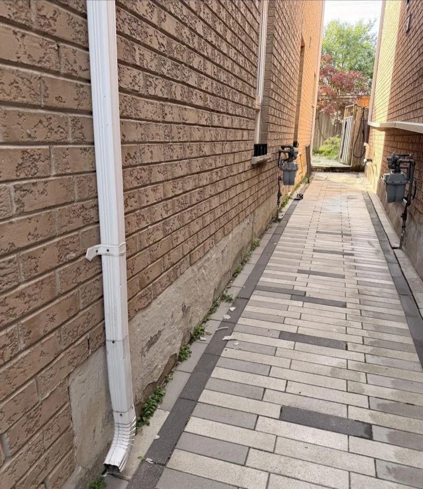Before: side interlock walkway with heavy weed growth between pavers